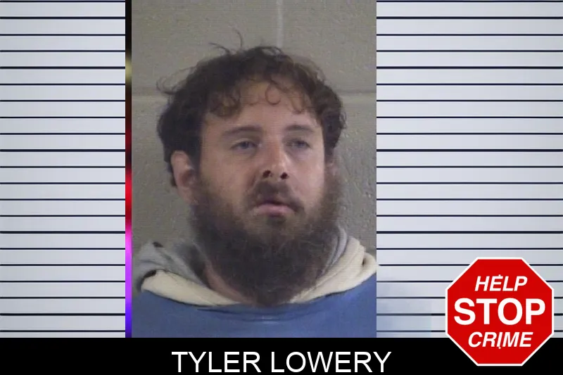 Tyler Lowery mugshot – Whitfield County , Georgia Tyler Lowery mugshot