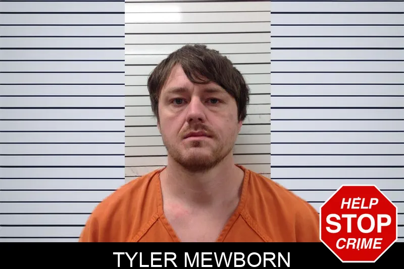 Tyler Mewborn mugshot