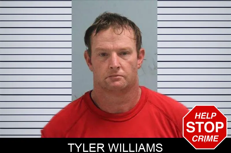 Tyler Williams mugshot