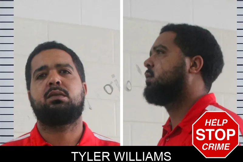 Tyler Williams mugshot – Houston County , Georgia Tyler Williams mugshot