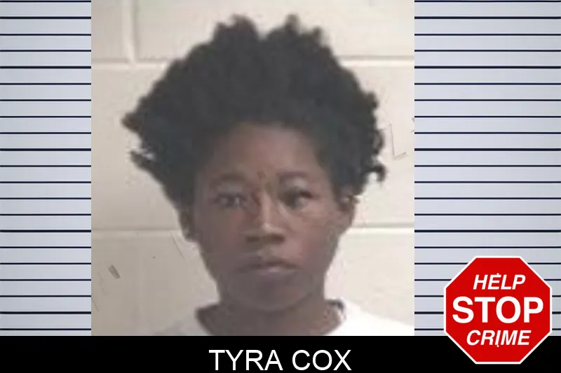 Tyra Cox mugshot – Henry County , Georgia Tyra Cox mugshot