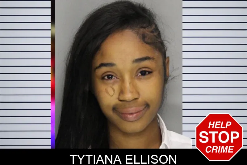 Tytiana Ellison mugshot – Cobb County , Georgia Tytiana Ellison mugshot