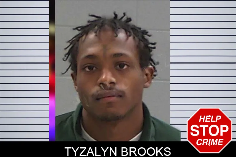 Tyzalyn Brooks mugshot – Baldwin County , Georgia Tyzalyn Brooks mugshot