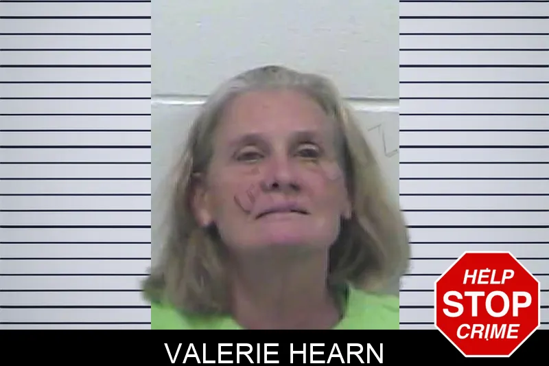 Valerie Hearn mugshot – Dawson County , Georgia Valerie Hearn mugshot