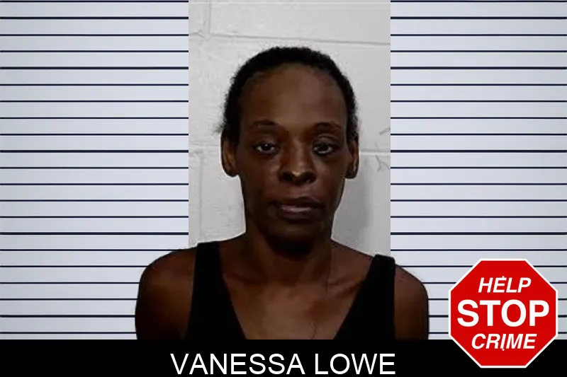 Vanessa Lowe mugshot – Decatur County , Georgia Vanessa Lowe mugshot