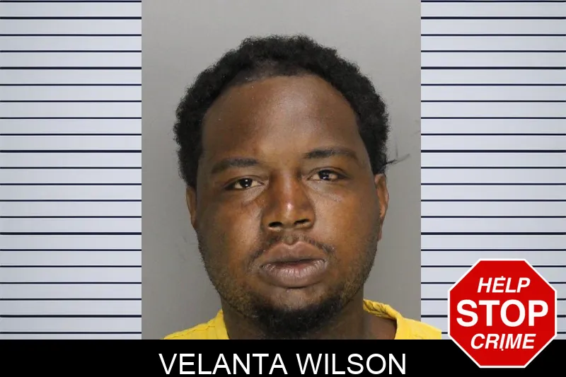 Velanta Wilson mugshot