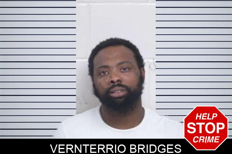 Vernterrio Bridges mugshot – Washington County , Georgia Vernterrio Bridges mugshot