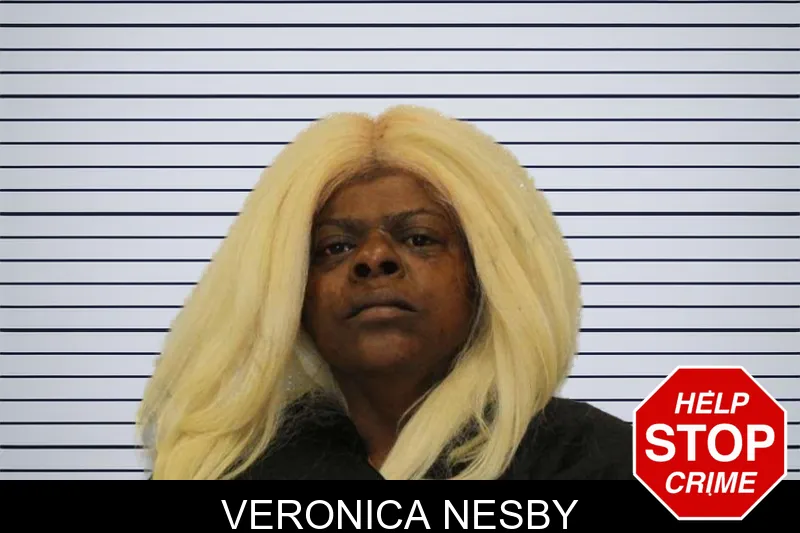 Veronica Nesby mugshot