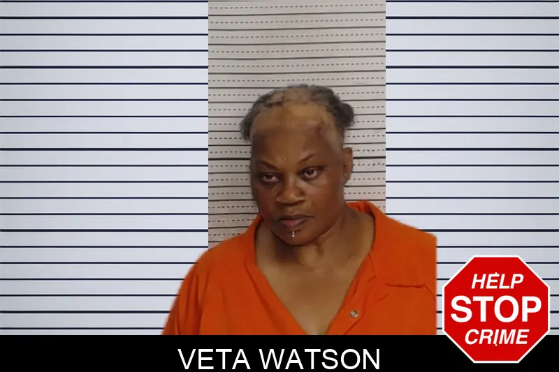 Veta Watson mugshot