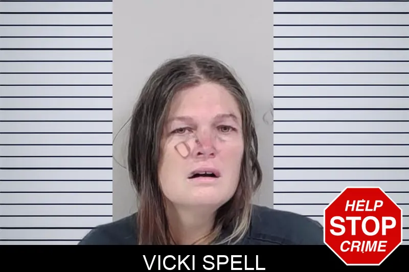 Vicki Spell mugshot – Lowndes County , Georgia Vicki Spell mugshot