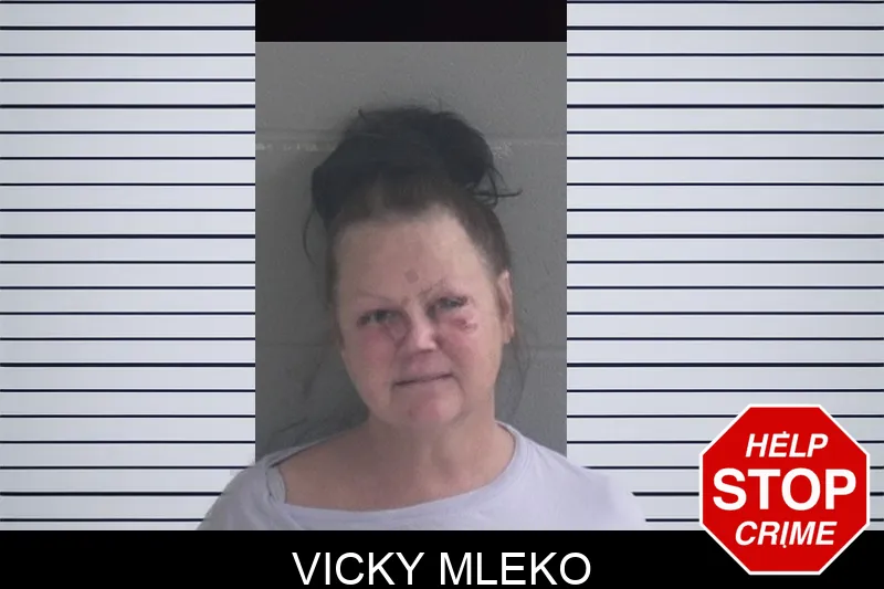 Vicky Mleko mugshot – Brantley County , Georgia Vicky Mleko mugshot