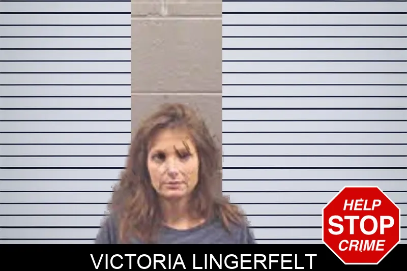 Victoria Lingerfelt mugshot – Banks County , Georgia Victoria Lingerfelt mugshot