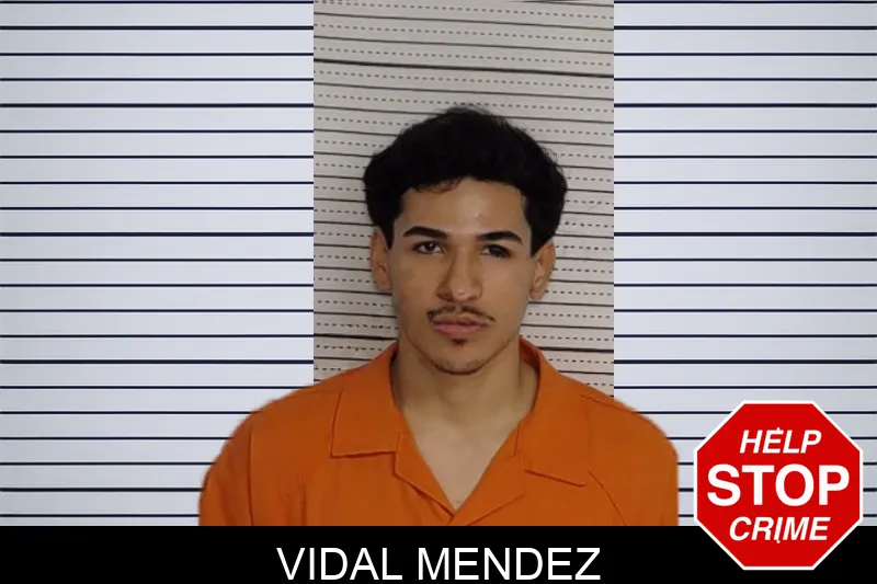 Vidal Mendez mugshot – Rockdale County , Georgia Vidal Mendez mugshot