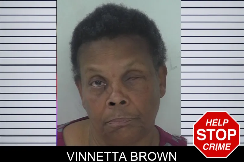 Vinnetta Brown mugshot – Fayette County , Georgia Vinnetta Brown mugshot