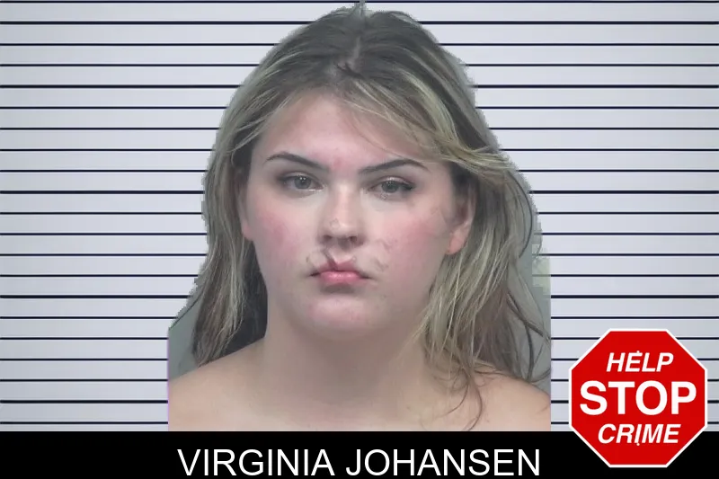 Virginia Johansen mugshot – Gwinnett County , Georgia Virginia Johansen mugshot