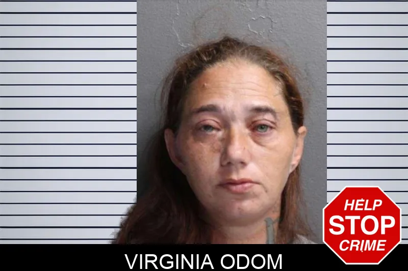 Virginia Odom mugshot – Crisp County , Georgia Virginia Odom mugshot