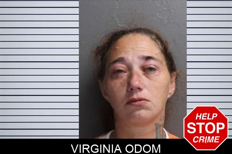 Virginia Odom mugshot