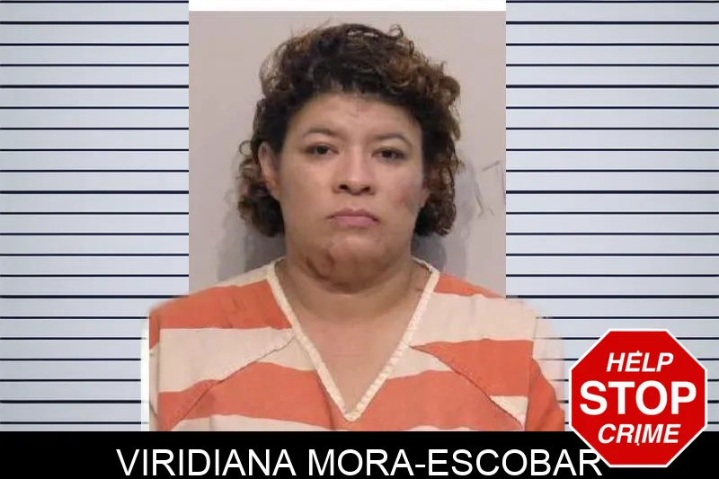 Viridiana Mora-Escobar mugshot – Bartow County , Georgia Viridiana Mora-Escobar mugshot