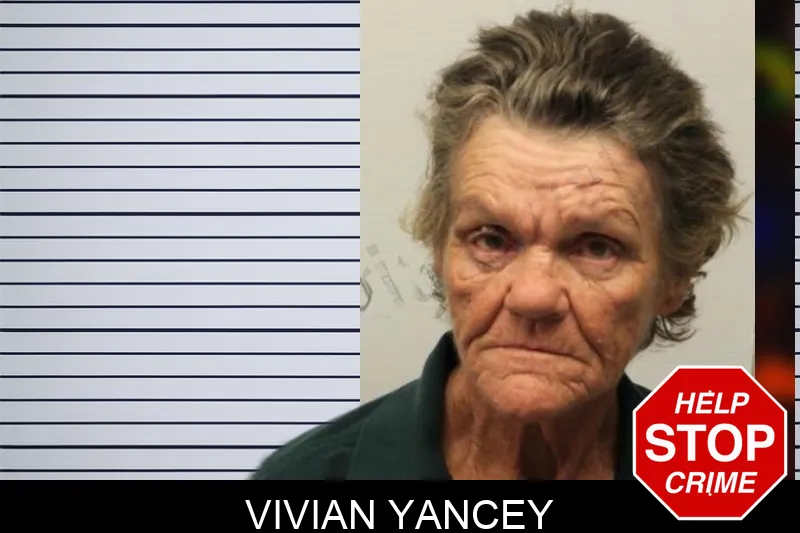 Vivian Yancey mugshot – Chatham County , Georgia Vivian Yancey mugshot