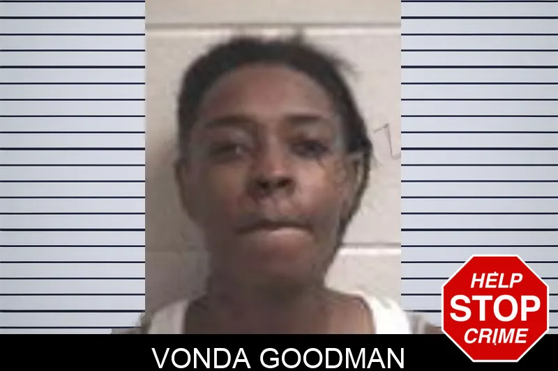Vonda Goodman mugshot – Henry County , Georgia Vonda Goodman mugshot