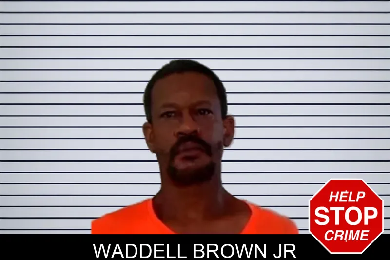 Waddell Brown Jr mugshot – Liberty County , Georgia Waddell Brown Jr mugshot
