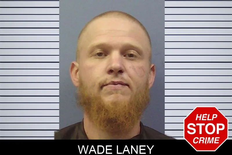 Wade Laney mugshot