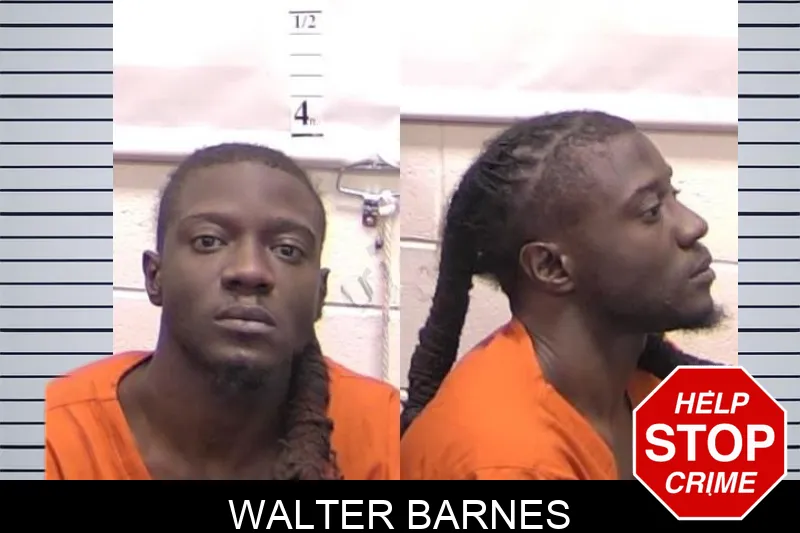 Walter Barnes mugshot