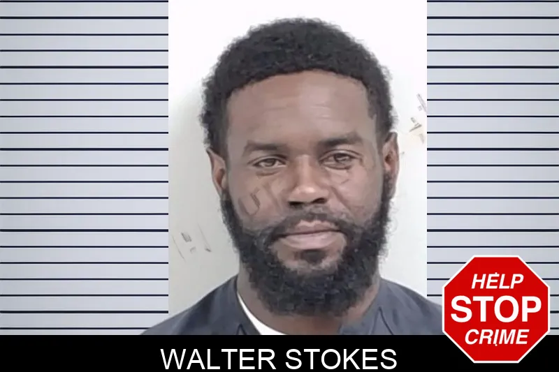 Walter Stokes mugshot – Lowndes County , Georgia Walter Stokes mugshot