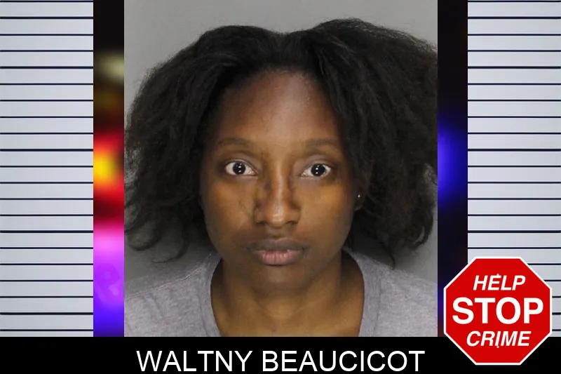 Waltny Beaucicot mugshot – Cobb County , Georgia Waltny Beaucicot mugshot