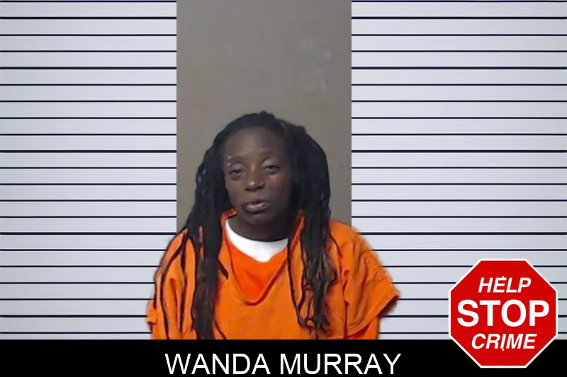 Wanda Murray mugshot – DeKalb County , Georgia Wanda Murray mugshot