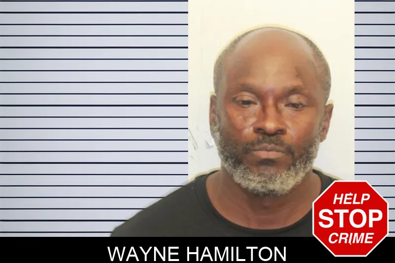 Wayne Hamilton mugshot – Chatham County , Georgia Wayne Hamilton mugshot