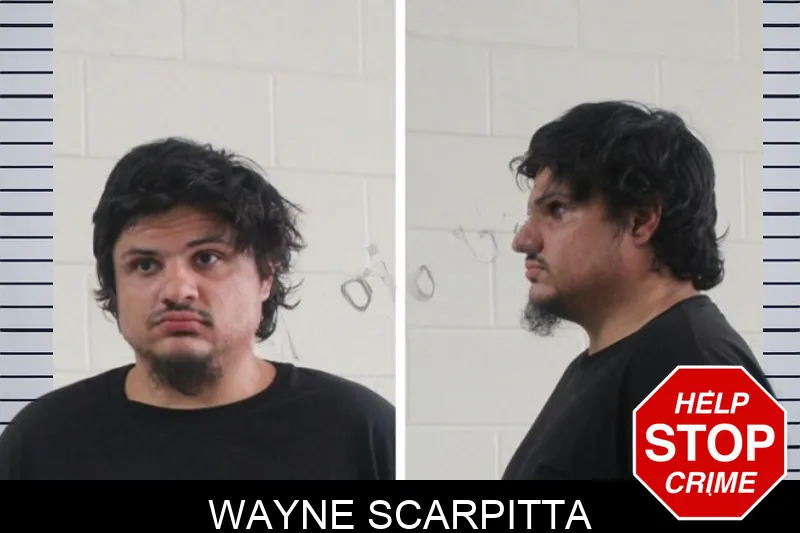 Wayne Scarpitta mugshot – Houston County , Georgia Wayne Scarpitta mugshot