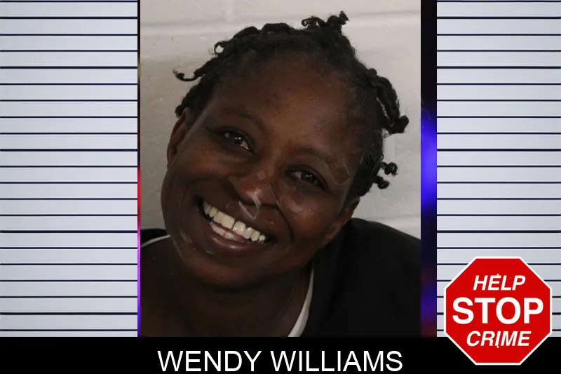 Wendy Williams mugshot