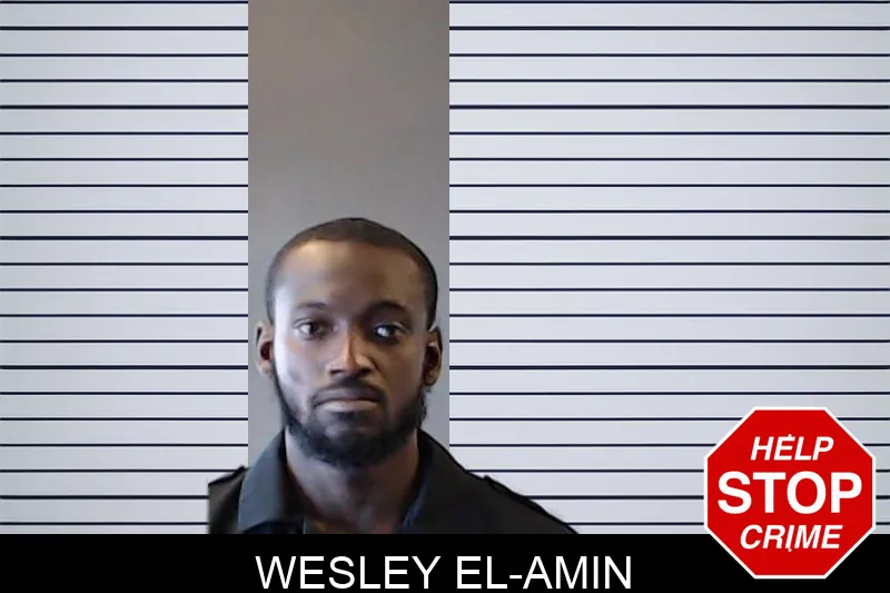 Wesley El-Amin mugshot – DeKalb County , Georgia Wesley El-Amin mugshot