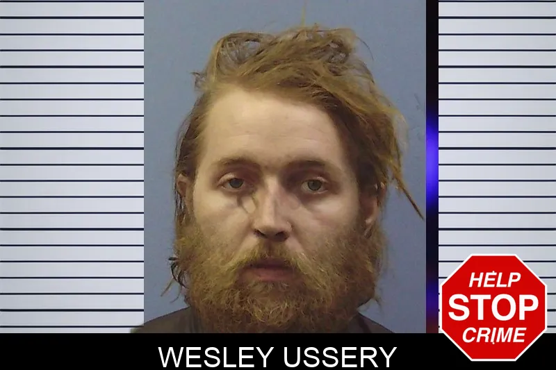 Wesley Ussery mugshot – Chattooga County , Georgia Wesley Ussery mugshot