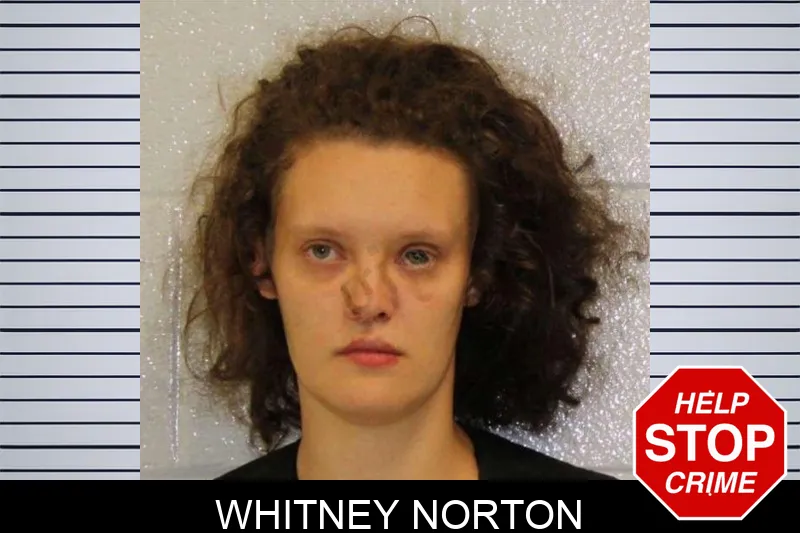 Whitney Norton mugshot