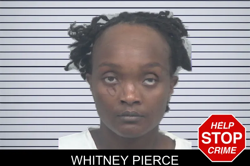 Whitney Pierce mugshot – Gwinnett County , Georgia Whitney Pierce mugshot