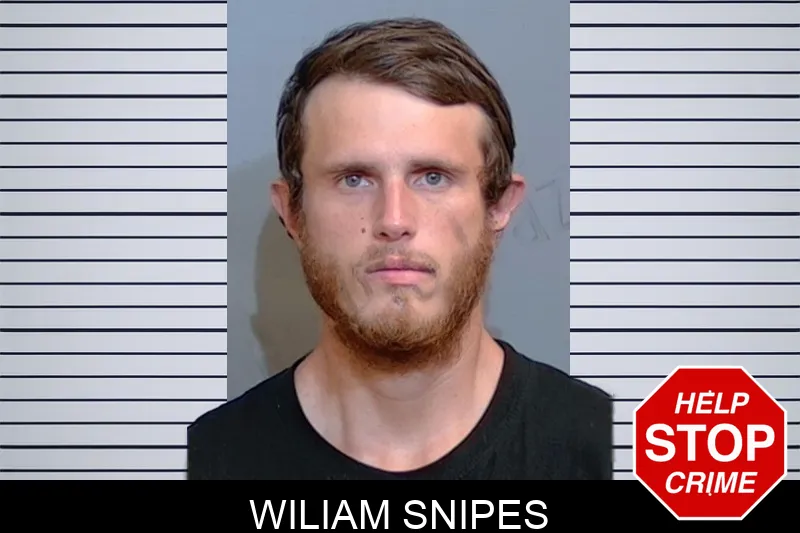 Wiliam Snipes mugshot – Glynn County , Georgia Wiliam Snipes mugshot