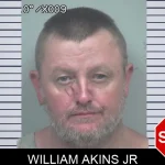 William Akins Jr mugshot – Gwinnett County , Georgia William Akins Jr mugshot