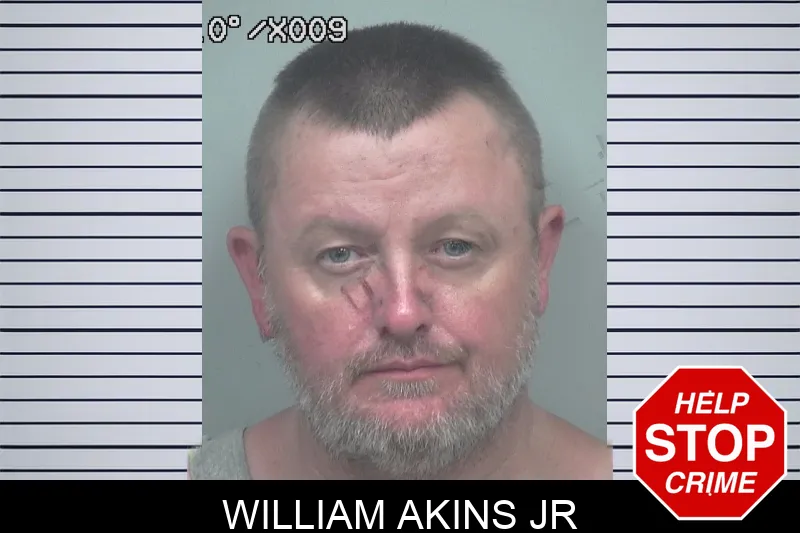 William Akins Jr mugshot