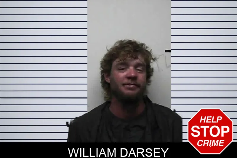 William Darsey mugshot – Pike County , Georgia William Darsey mugshot