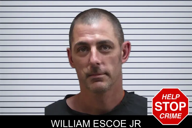 William Escoe Jr mugshot – Madison County , Georgia William Escoe Jr mugshot