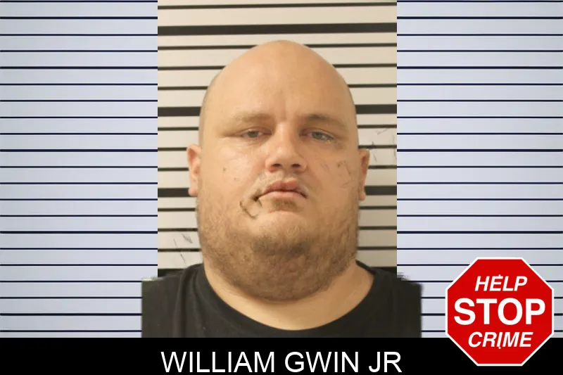 William Gwin Jr mugshot – Toombs County , Georgia William Gwin Jr mugshot