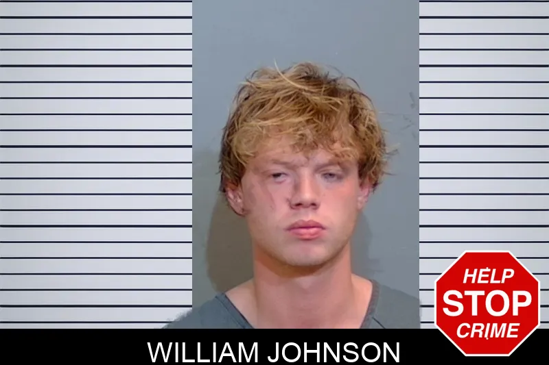 William Johnson mugshot