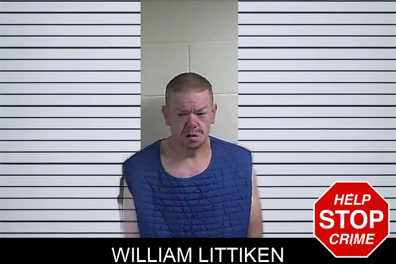 William Littiken mugshot – Fannin County , Georgia William Littiken mugshot