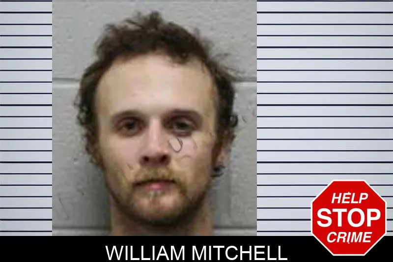 William Mitchell mugshot – Harris County , Georgia William Mitchell mugshot
