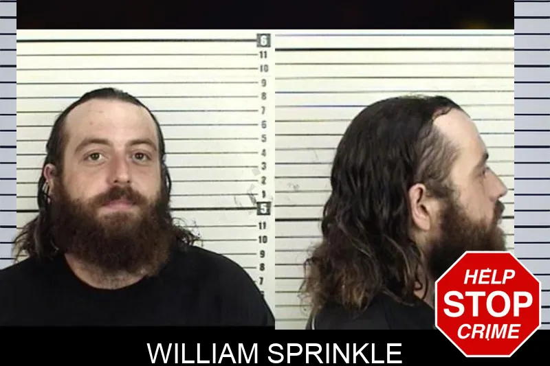 William Sprinkle mugshot – Camden County , Georgia William Sprinkle mugshot