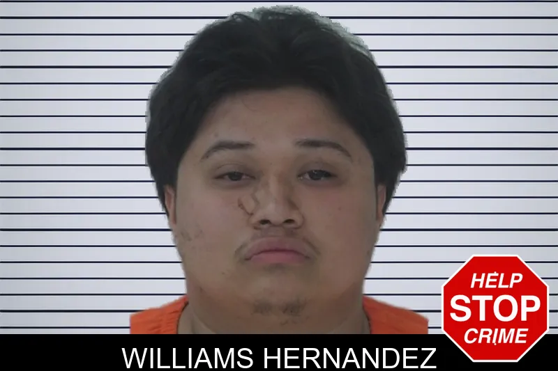 Williams Hernandez mugshot – Fayette County , Georgia Williams Hernandez mugshot
