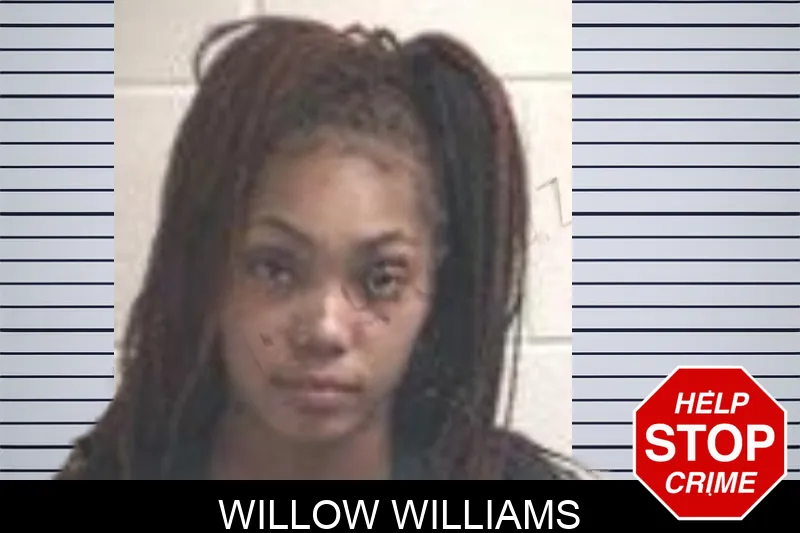 Willow Williams mugshot – Henry County , Georgia Willow Williams mugshot