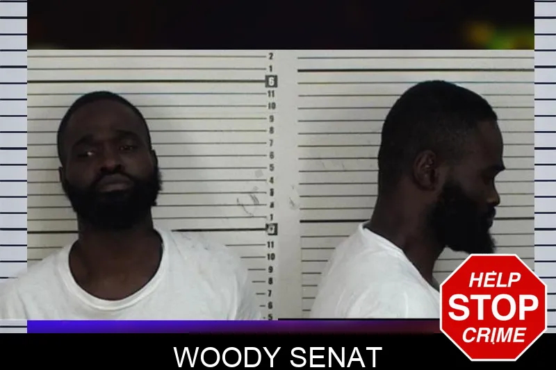 Woody Senat mugshot – Camden County , Georgia Woody Senat mugshot